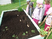 Zahradničíme ve školce